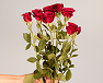 red roses
