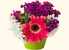 beautiful flower
                                                pot