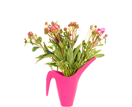 pink flower vase
